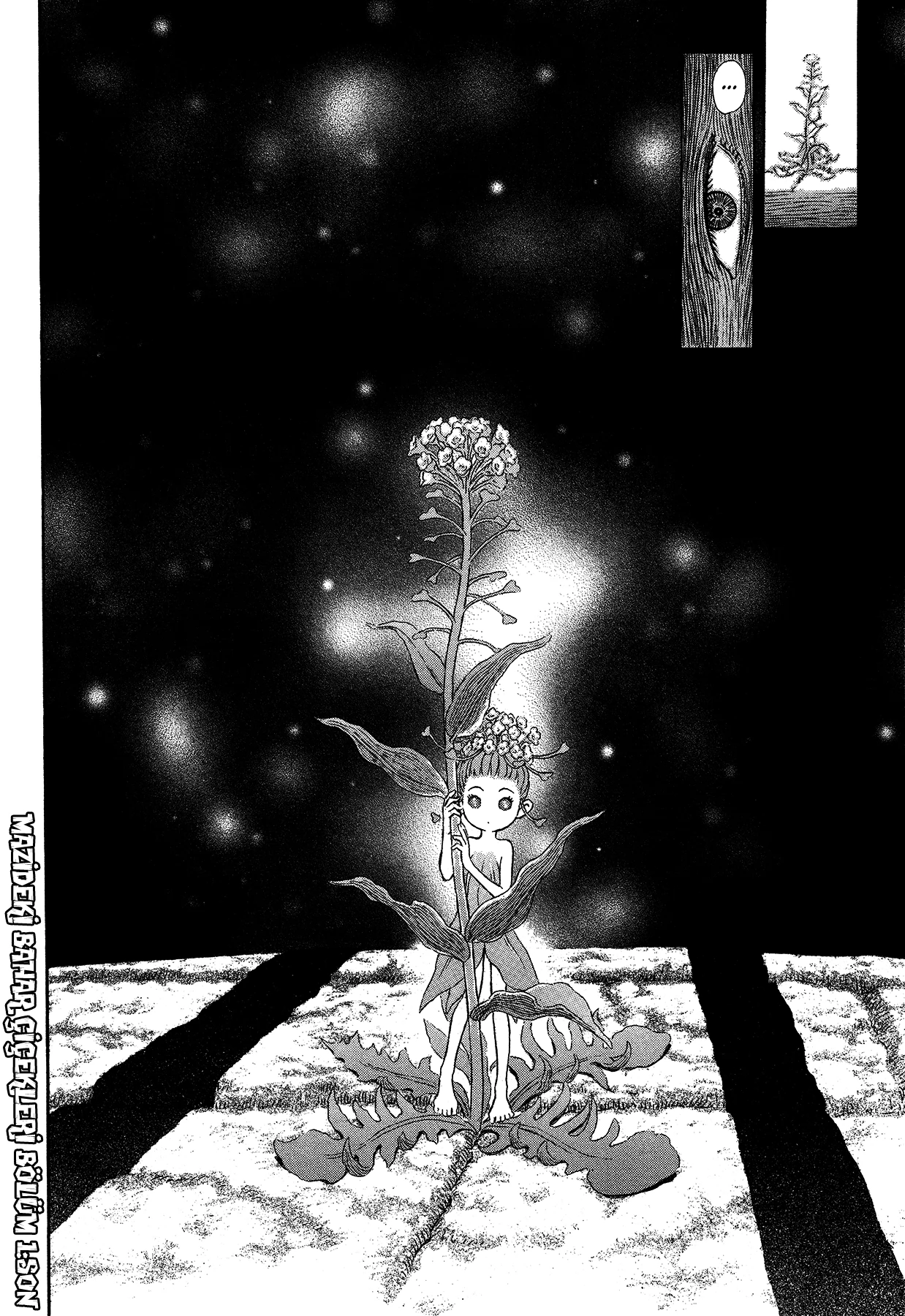 Read Berserk TR Manga Online