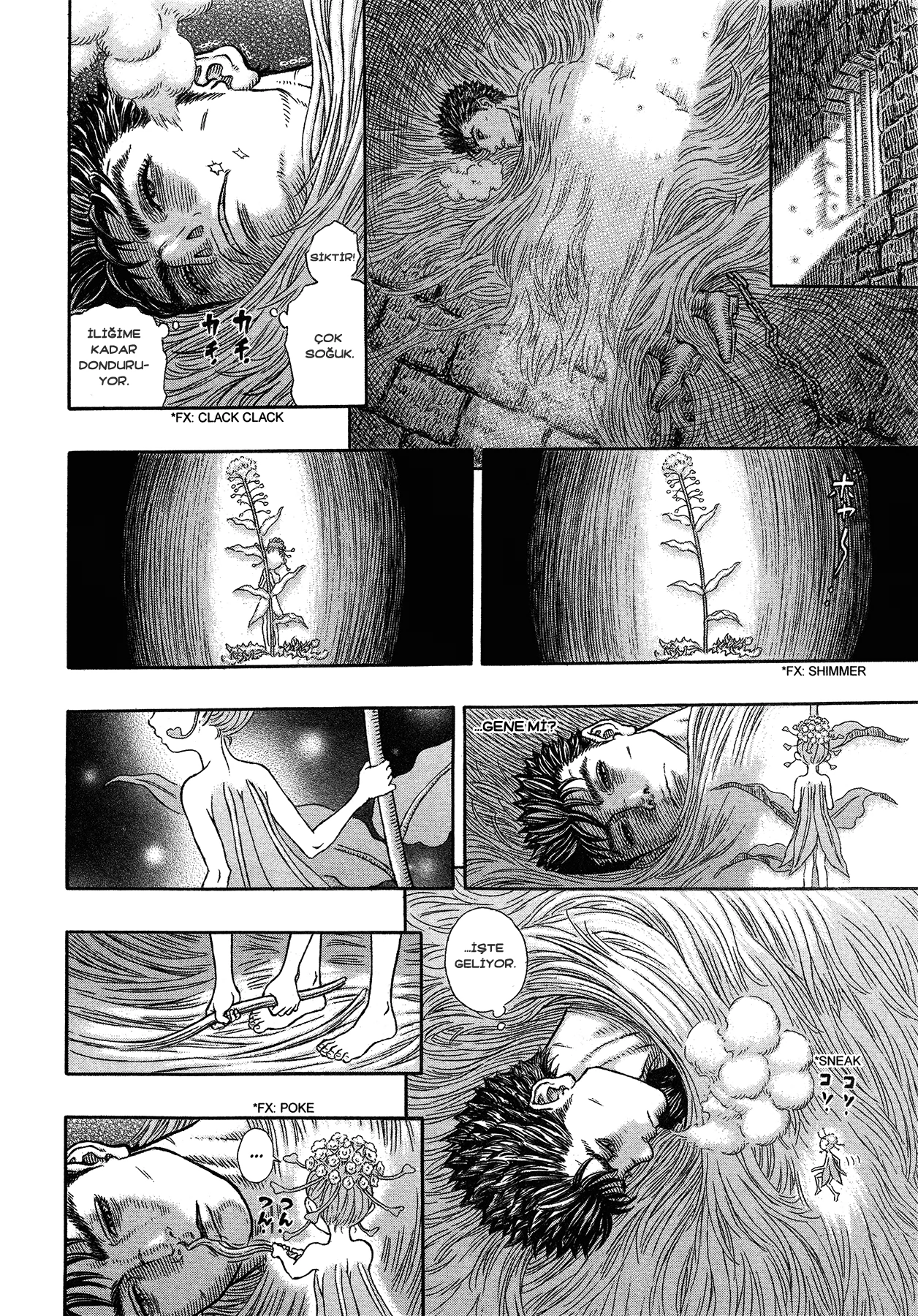 Read Berserk TR Manga Online