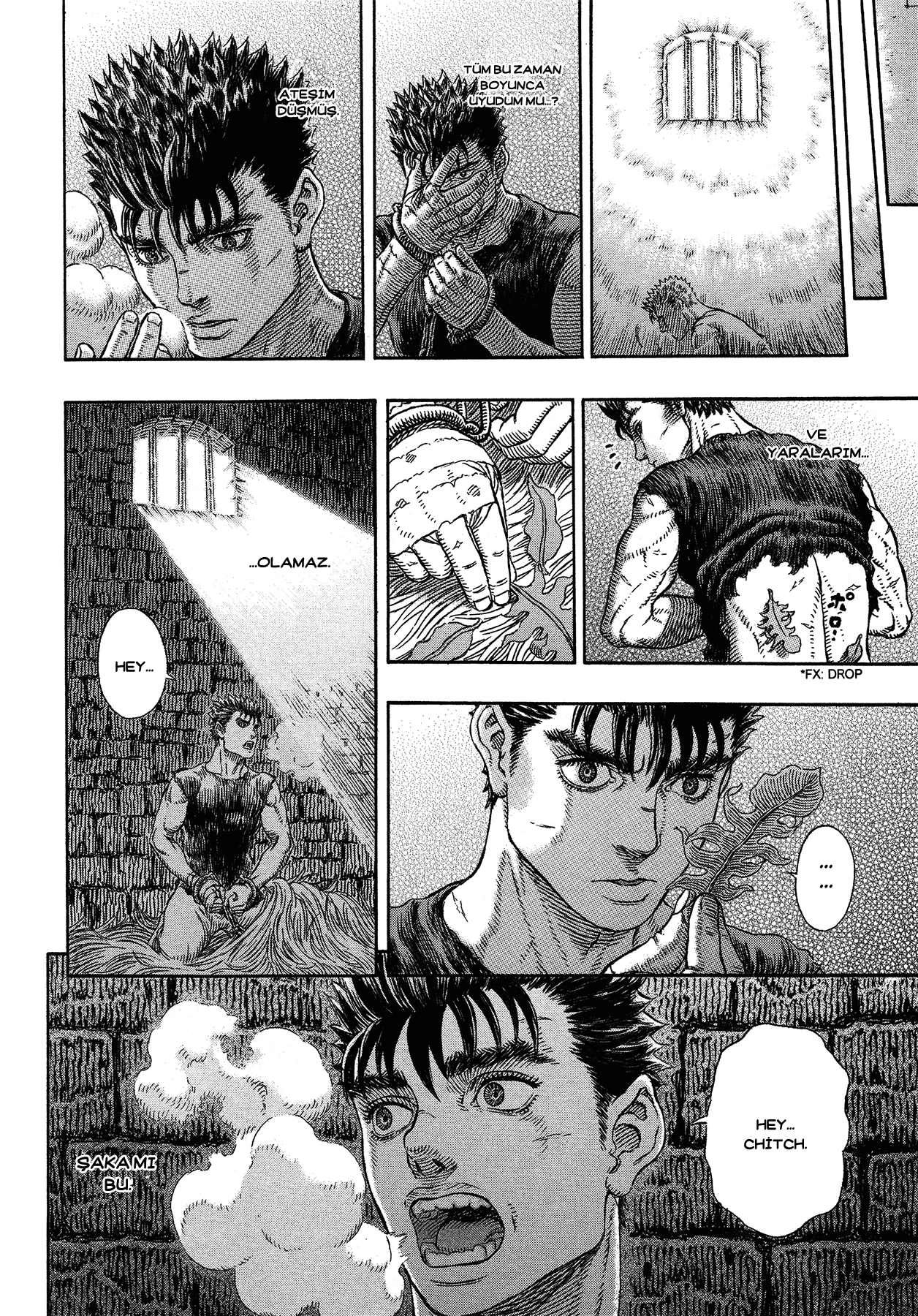 Read Berserk TR Manga Online