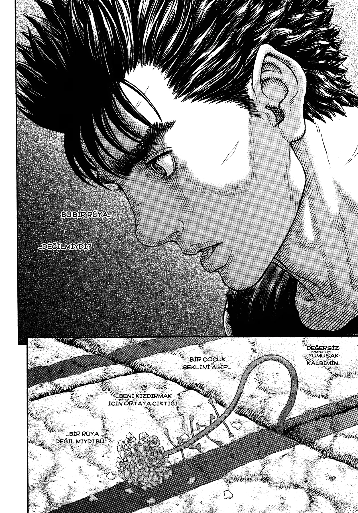 Read Berserk TR Manga Online