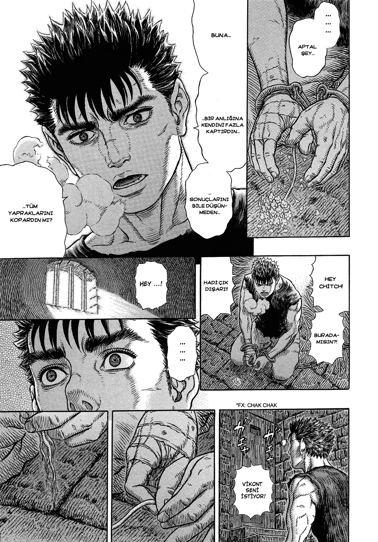 Read Berserk TR Manga Online