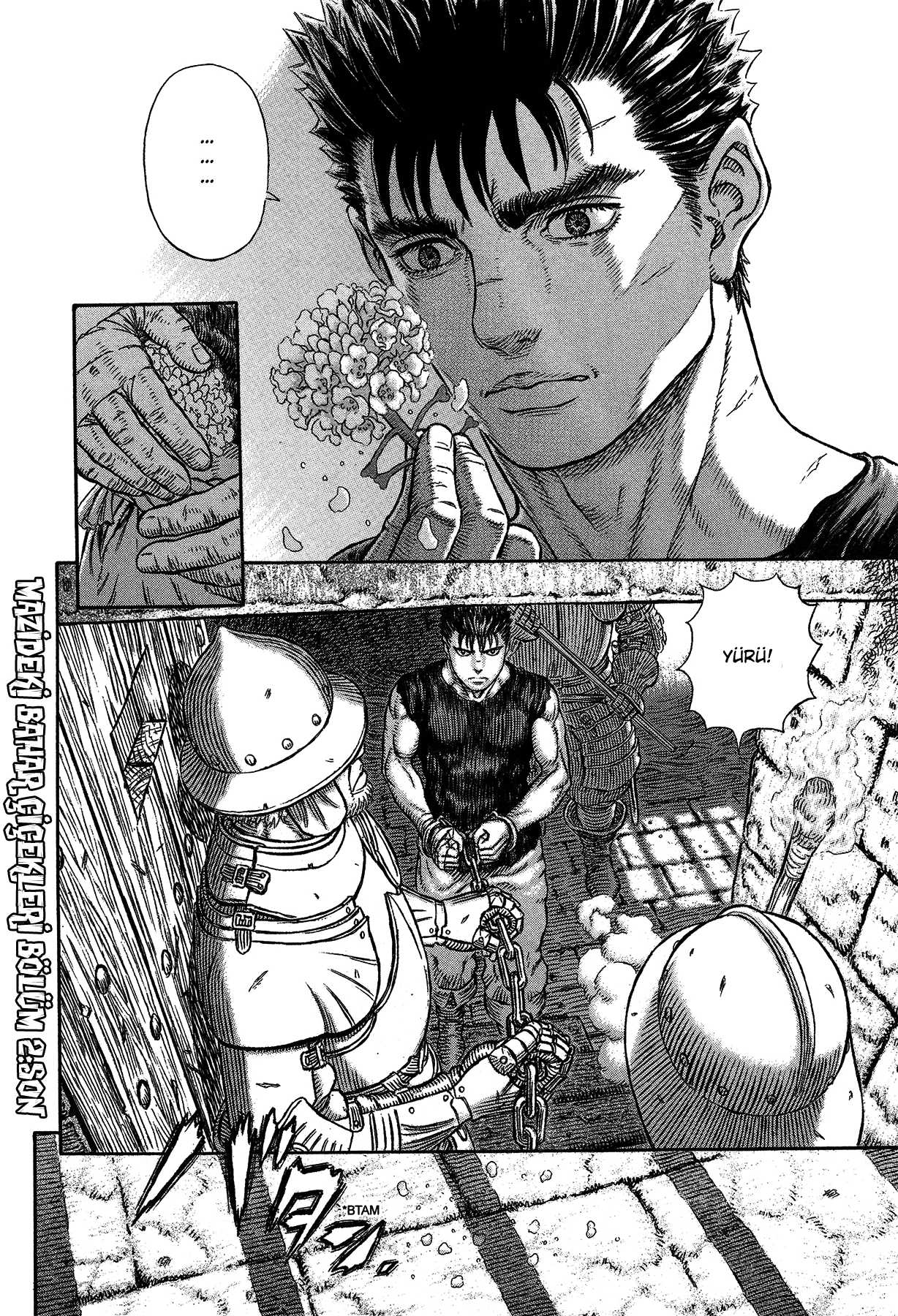 Read Berserk TR Manga Online
