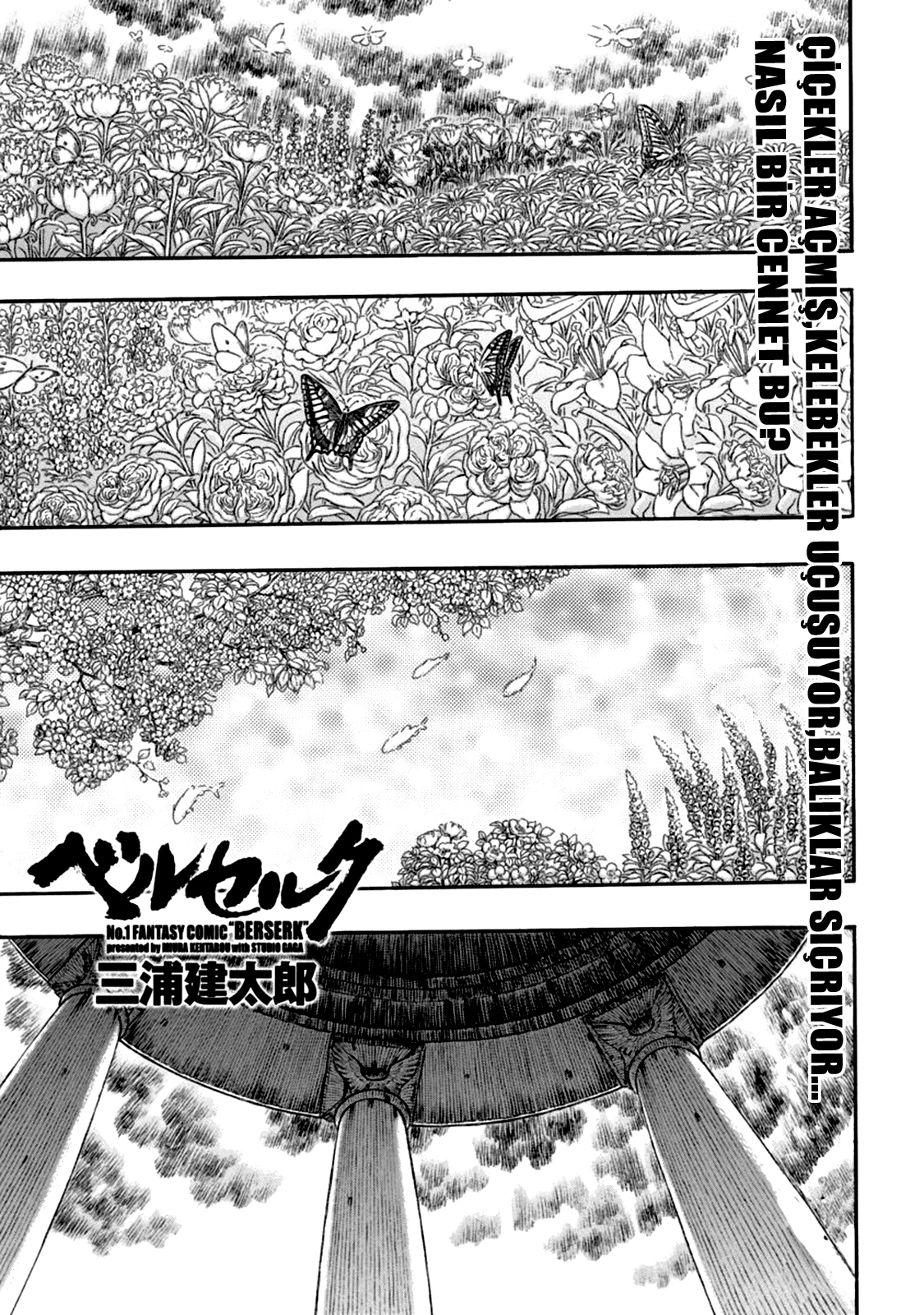 Read Berserk TR Manga Online