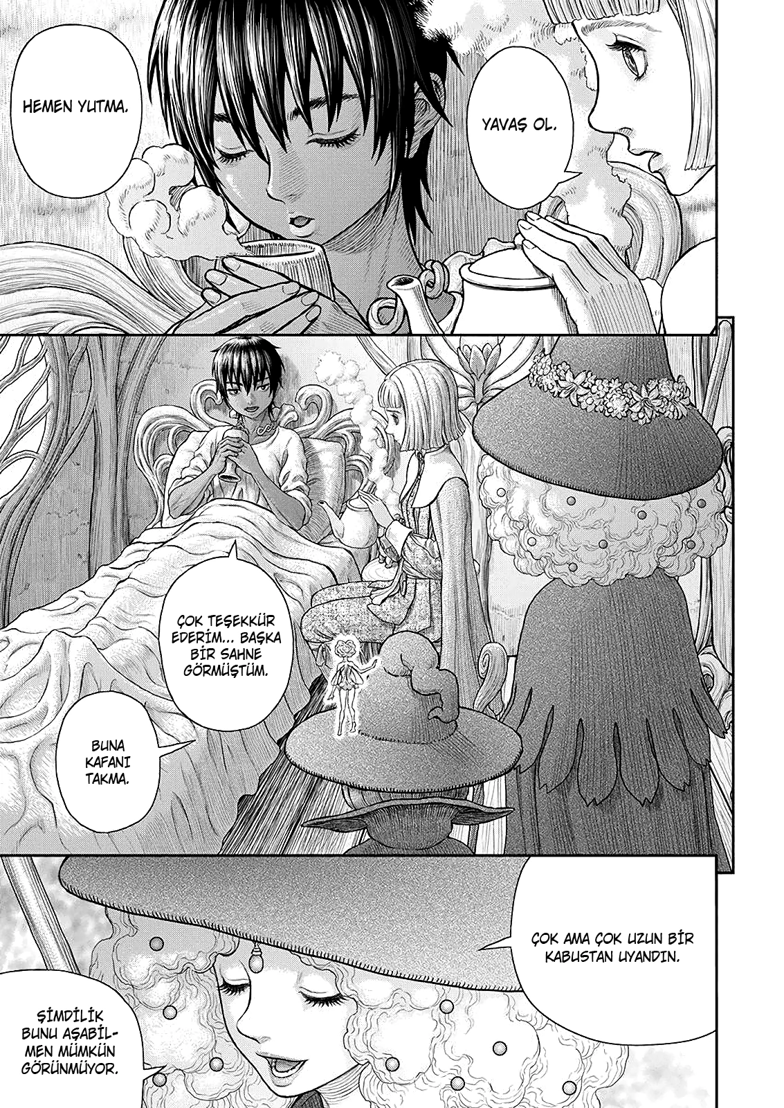 Read Berserk TR Manga Online