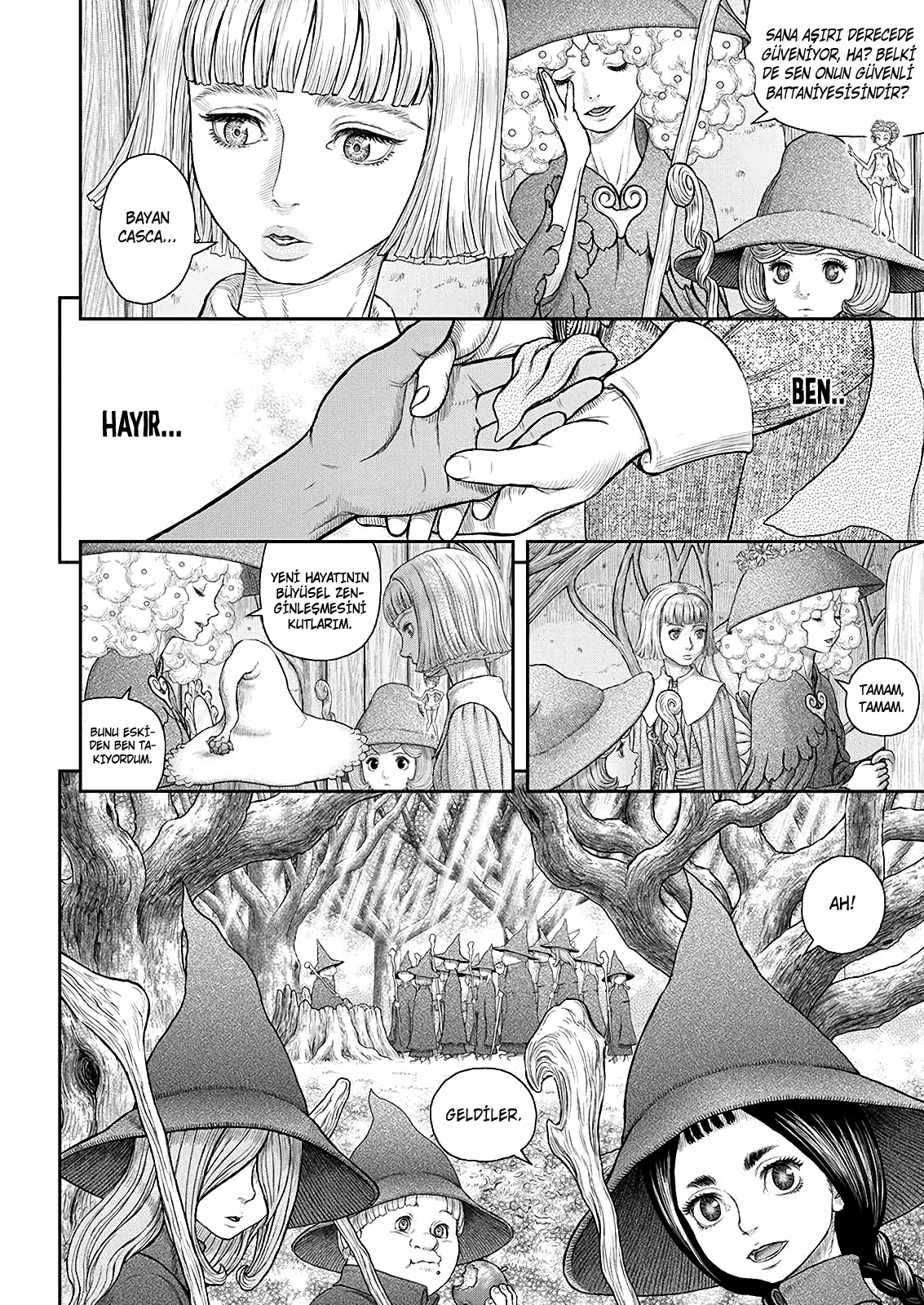Read Berserk TR Manga Online