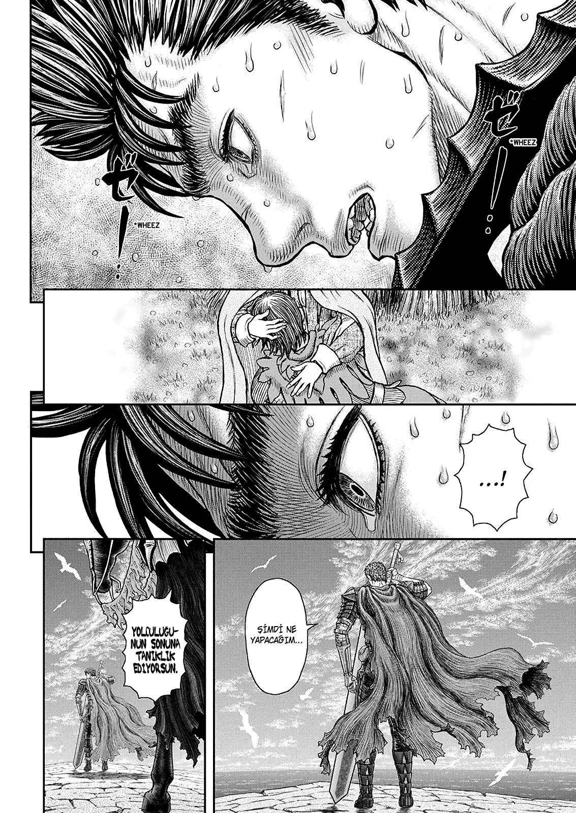 Read Berserk TR Manga Online