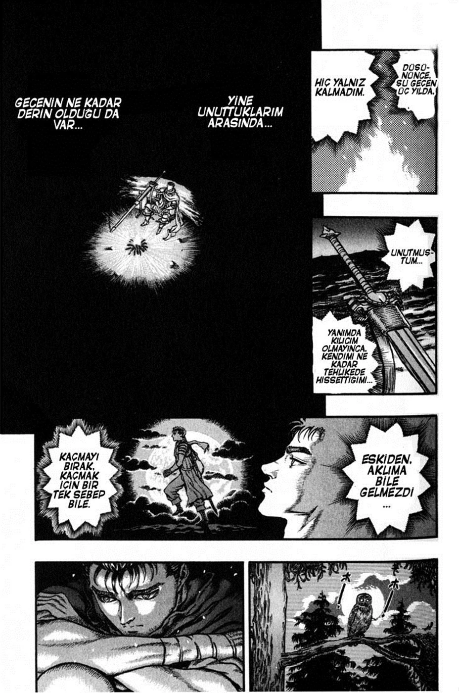 Read Berserk TR Manga Online