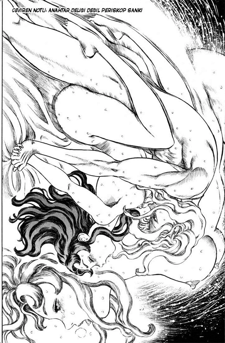 Read Berserk TR Manga Online