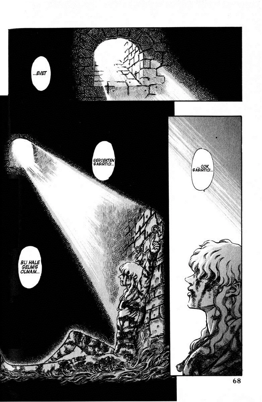 Read Berserk TR Manga Online