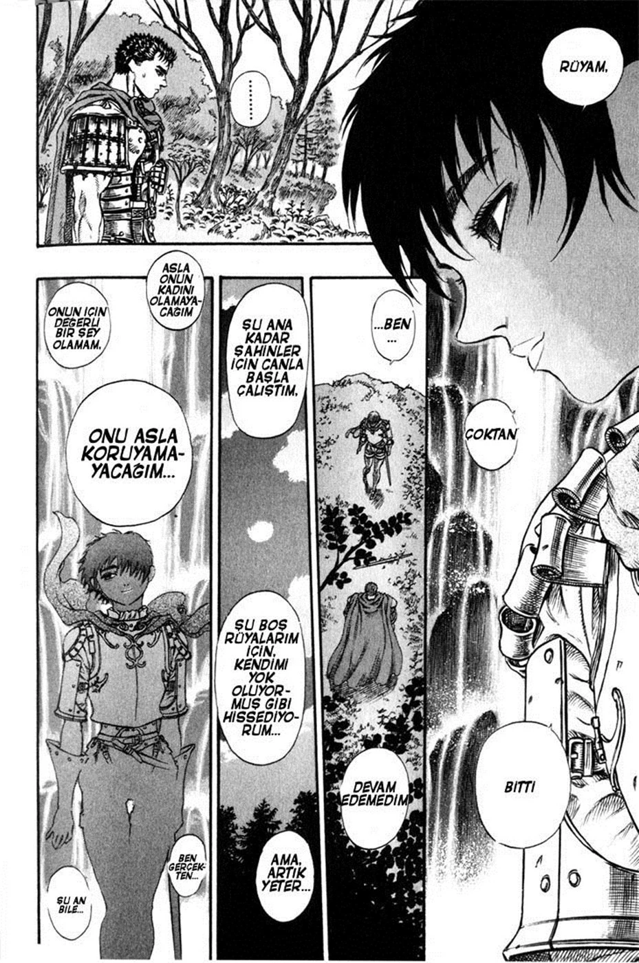 Read Berserk TR Manga Online