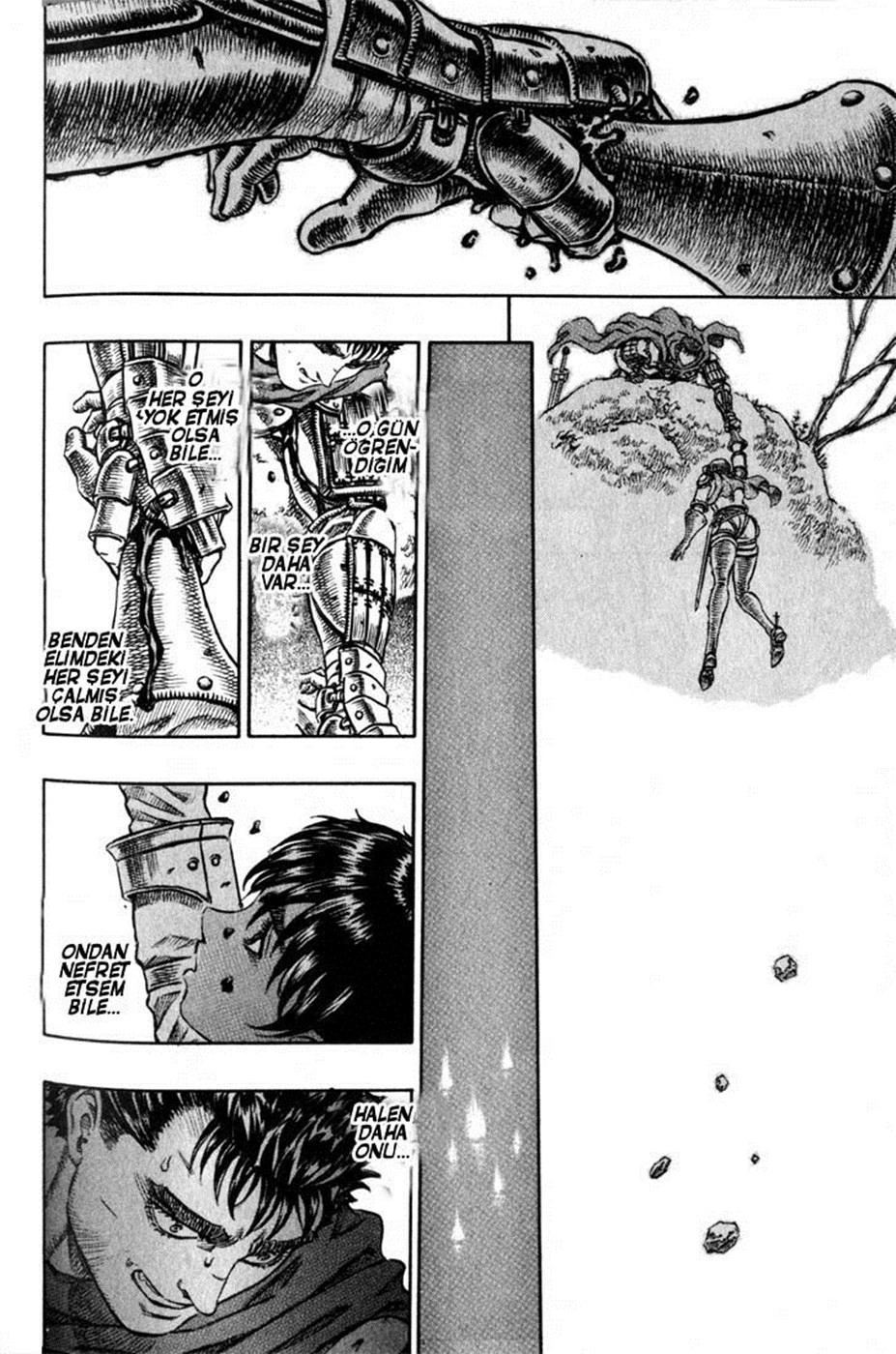 Read Berserk TR Manga Online