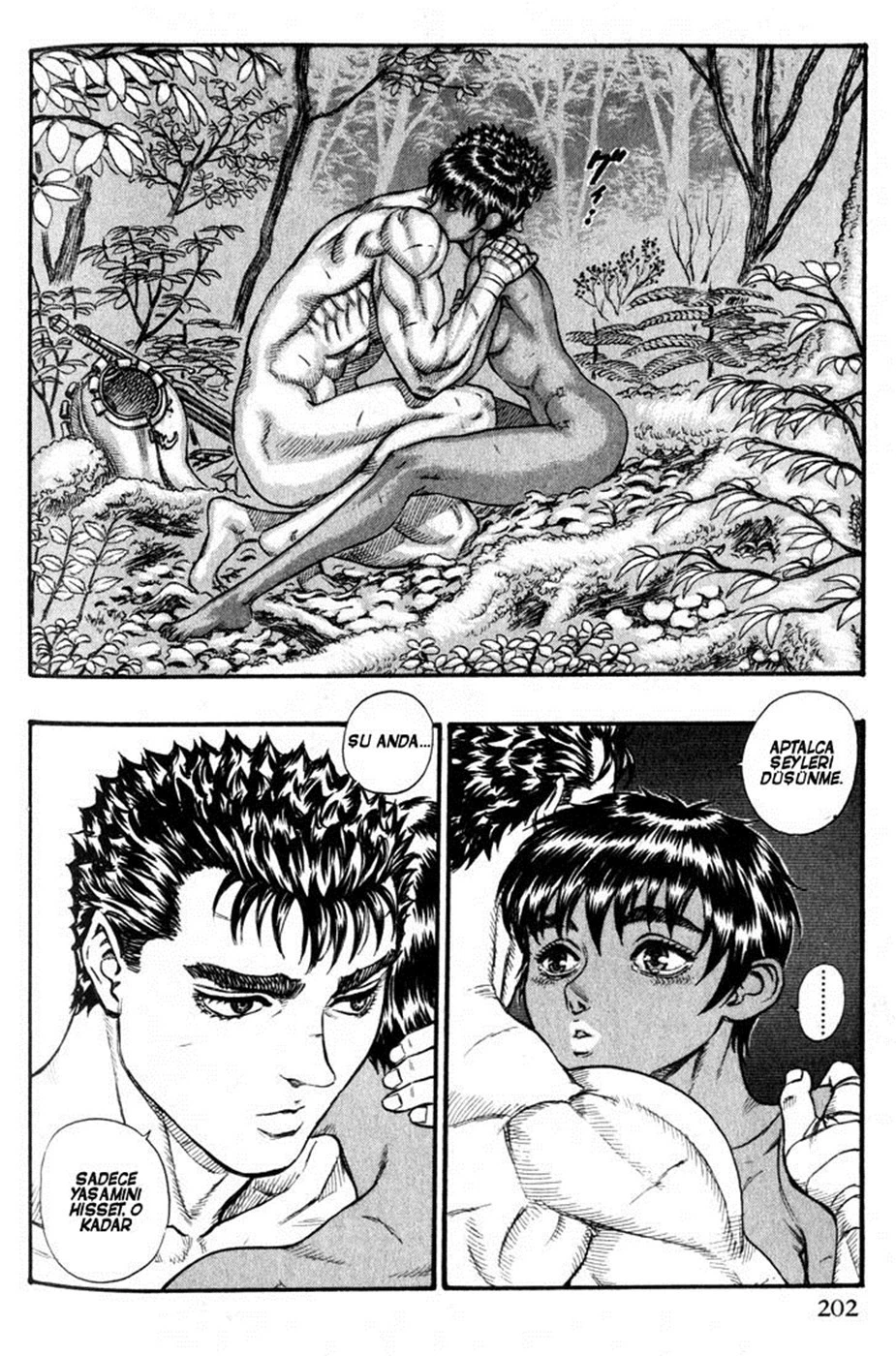 Read Berserk TR Manga Online