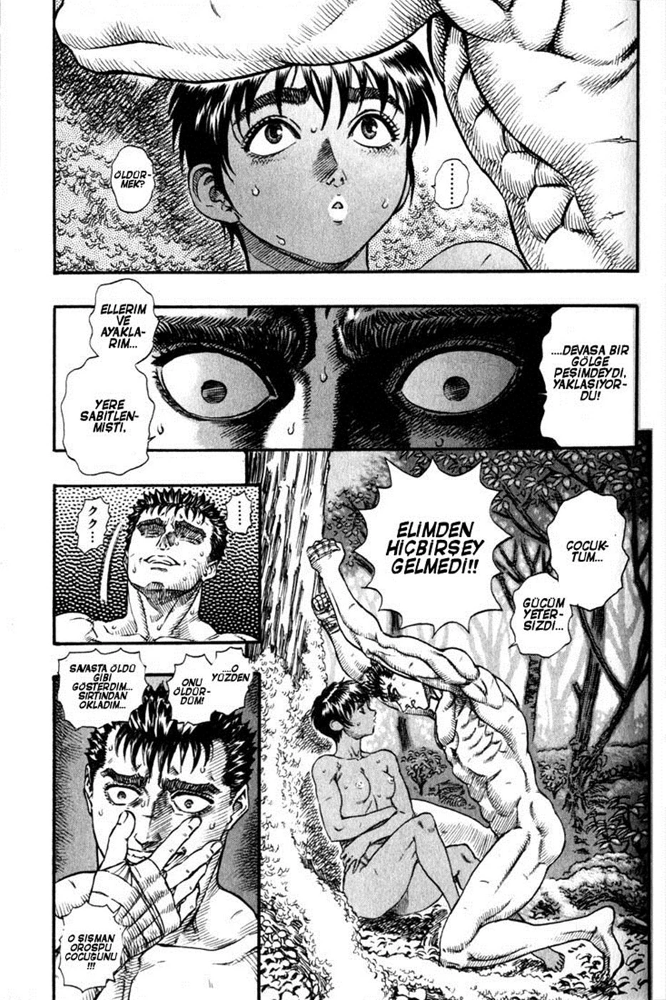 Read Berserk TR Manga Online