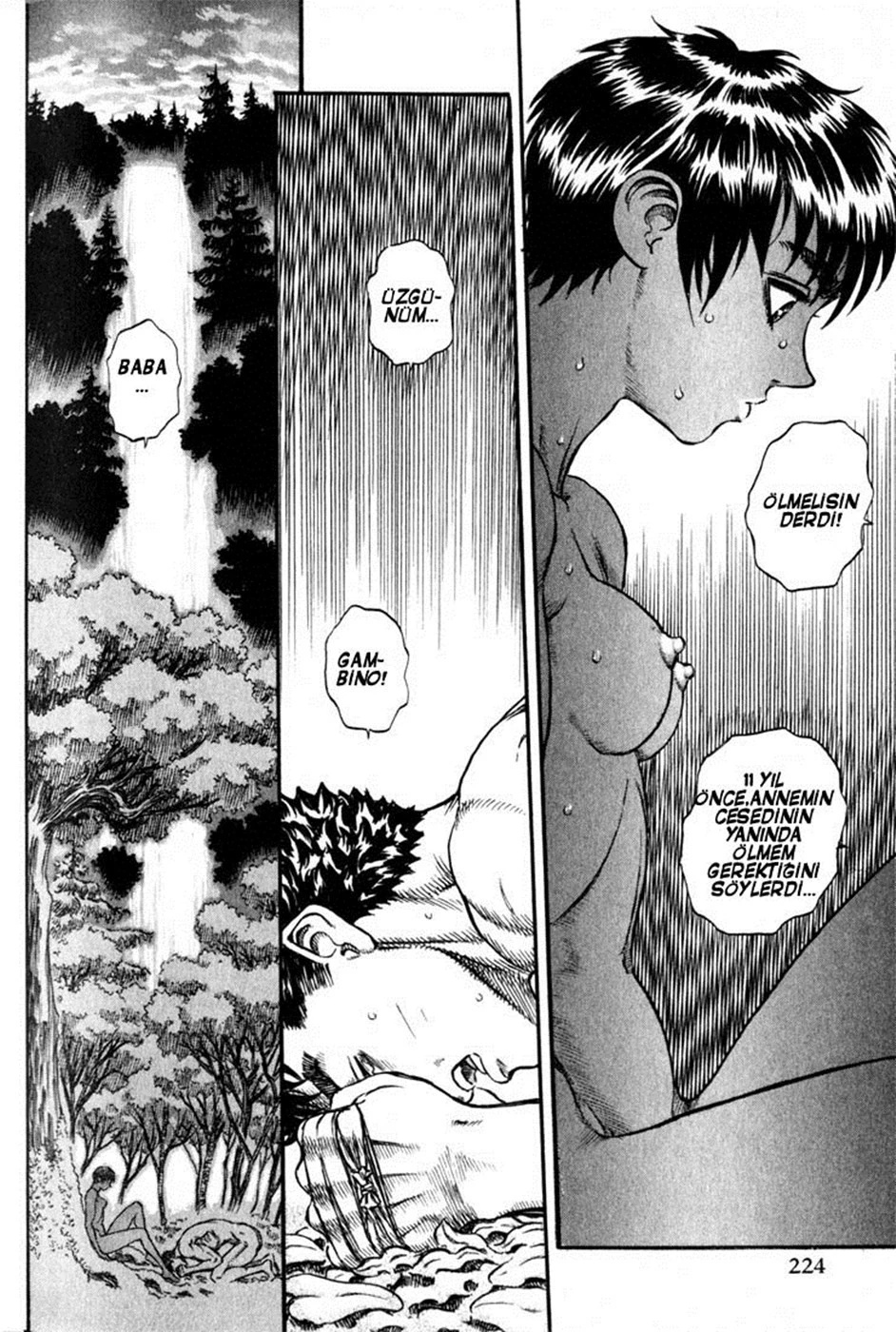 Read Berserk TR Manga Online