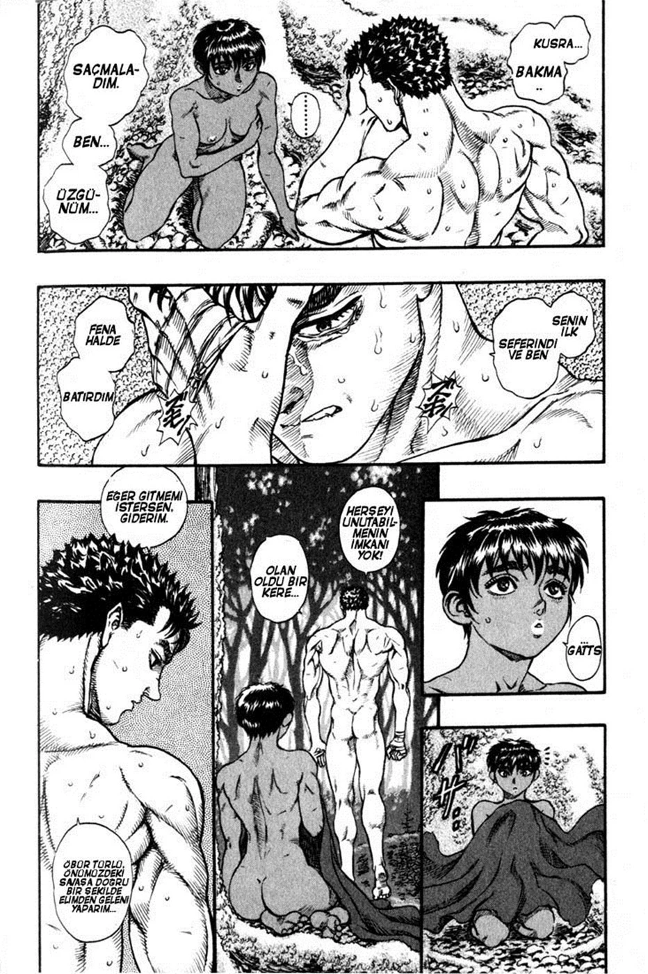 Read Berserk TR Manga Online