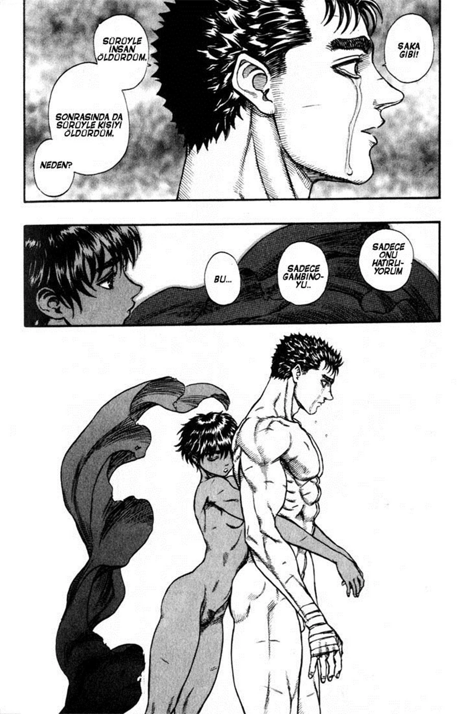 Read Berserk TR Manga Online