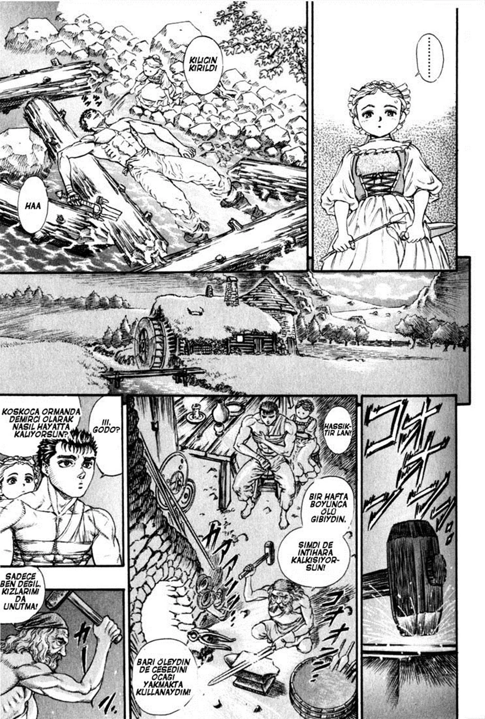 Read Berserk TR Manga Online