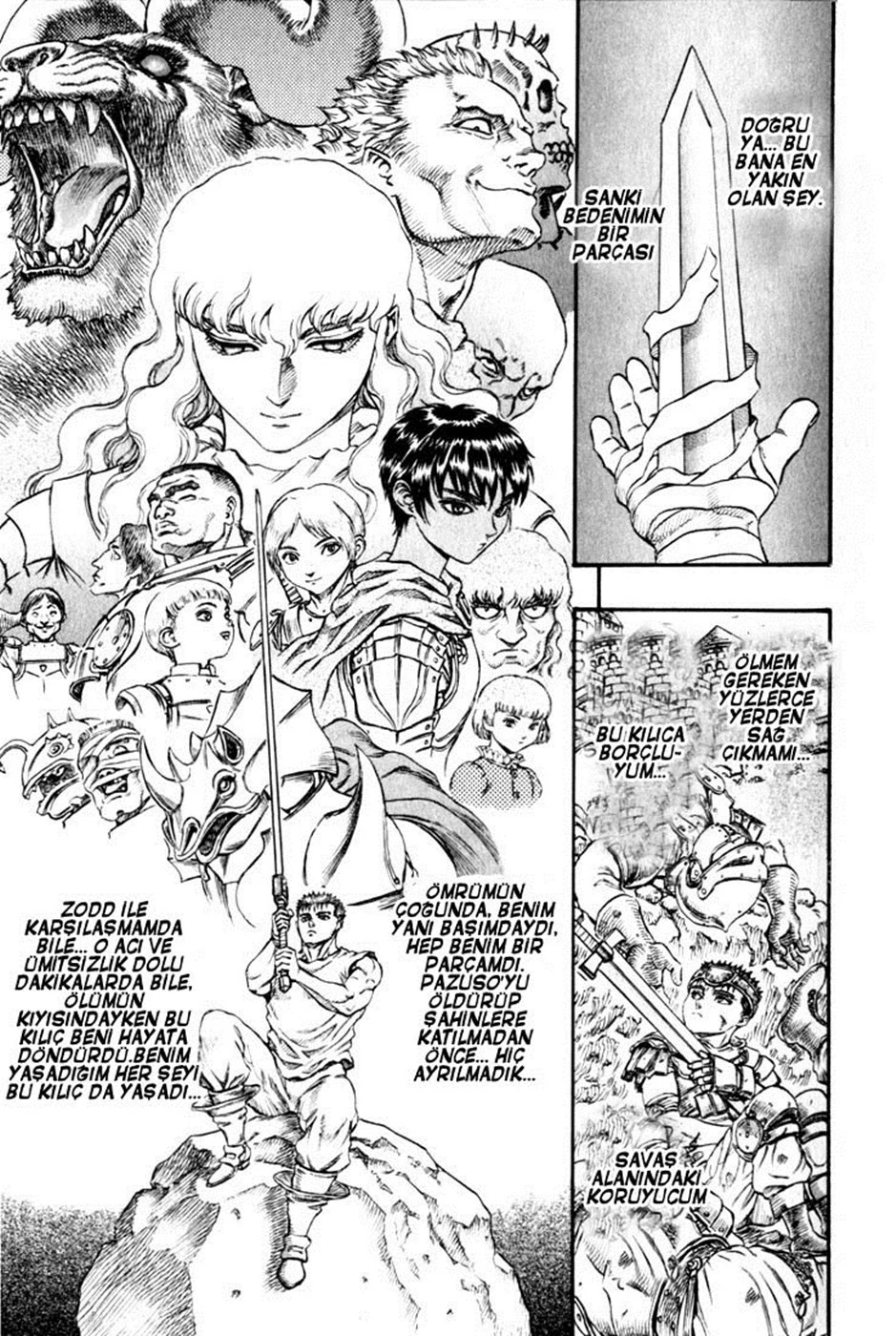 Read Berserk TR Manga Online