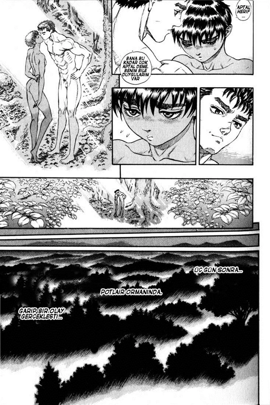 Read Berserk TR Manga Online