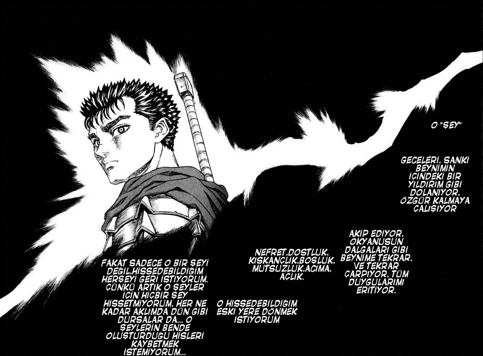 Read Berserk TR Manga Online