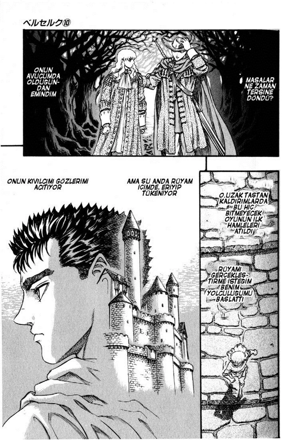 Read Berserk TR Manga Online