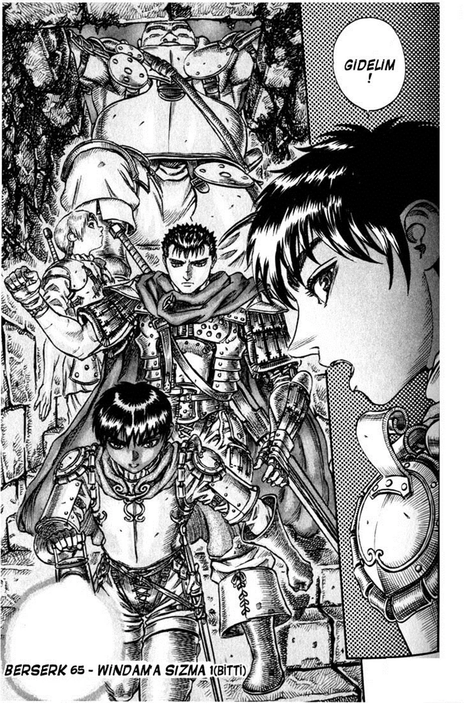 Read Berserk TR Manga Online