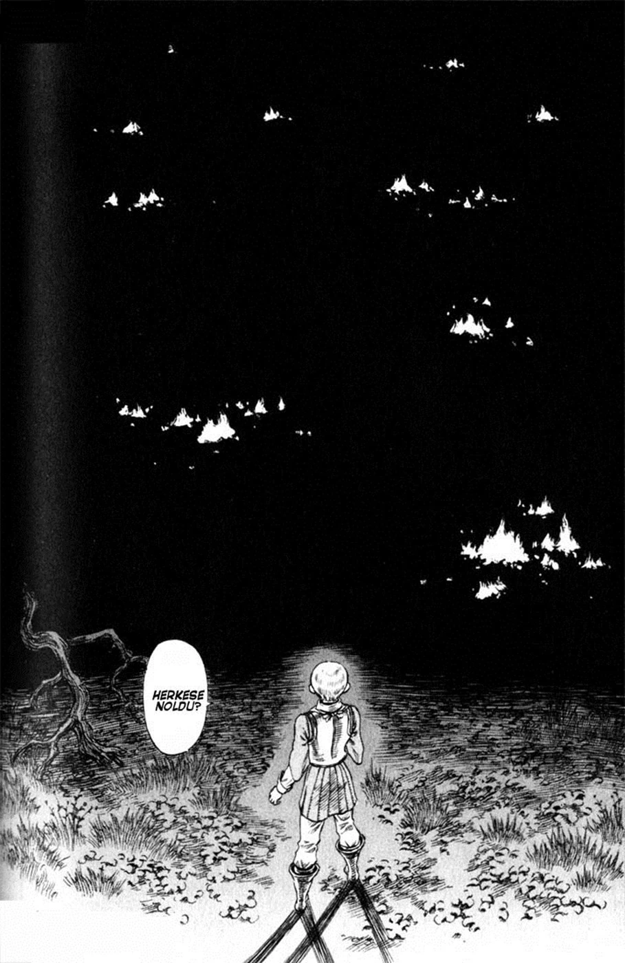 Read Berserk TR Manga Online