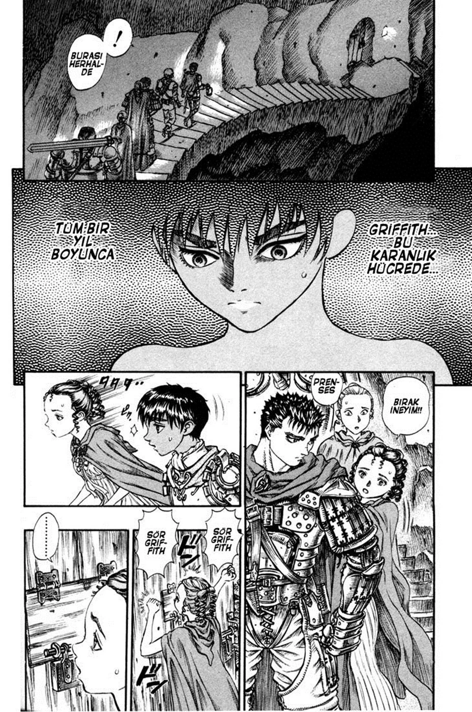 Read Berserk TR Manga Online