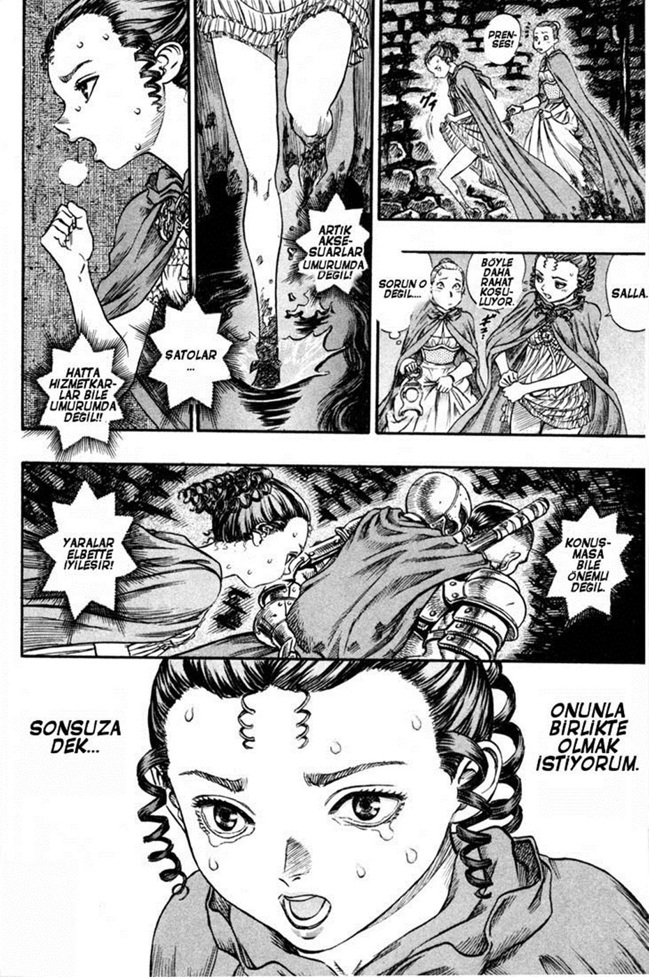 Read Berserk TR Manga Online