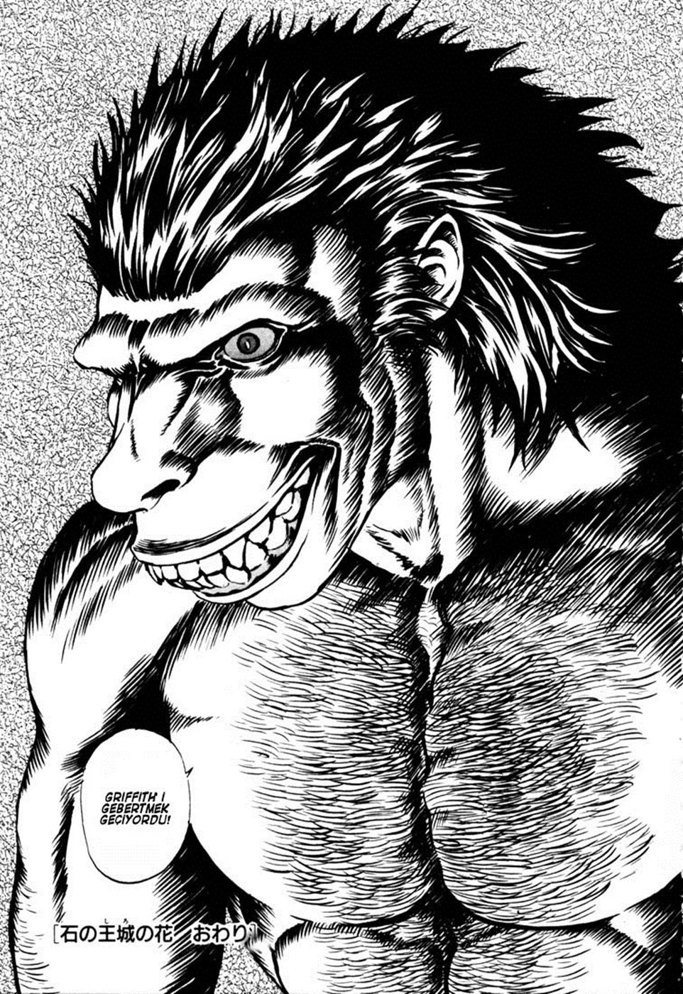 Read Berserk TR Manga Online