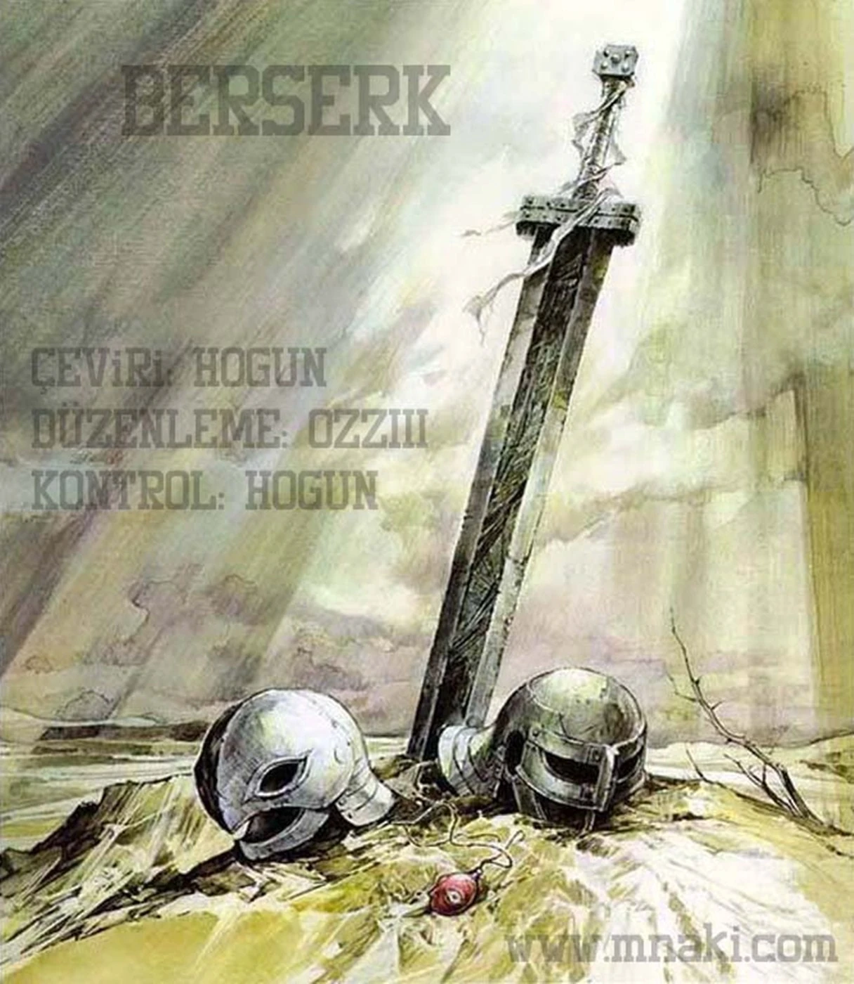 Read Berserk TR Manga Online