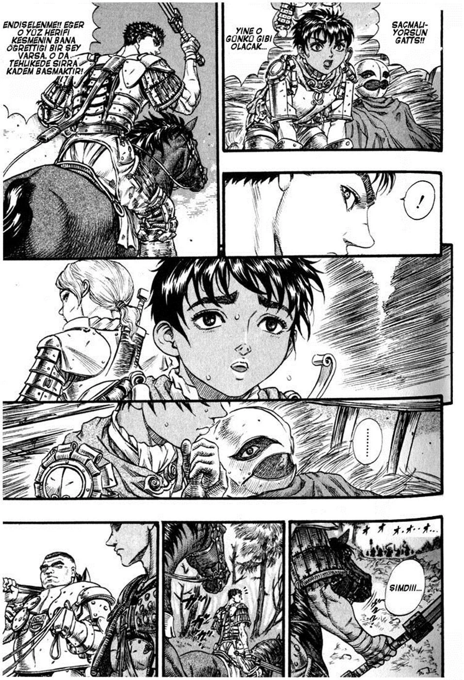 Read Berserk TR Manga Online