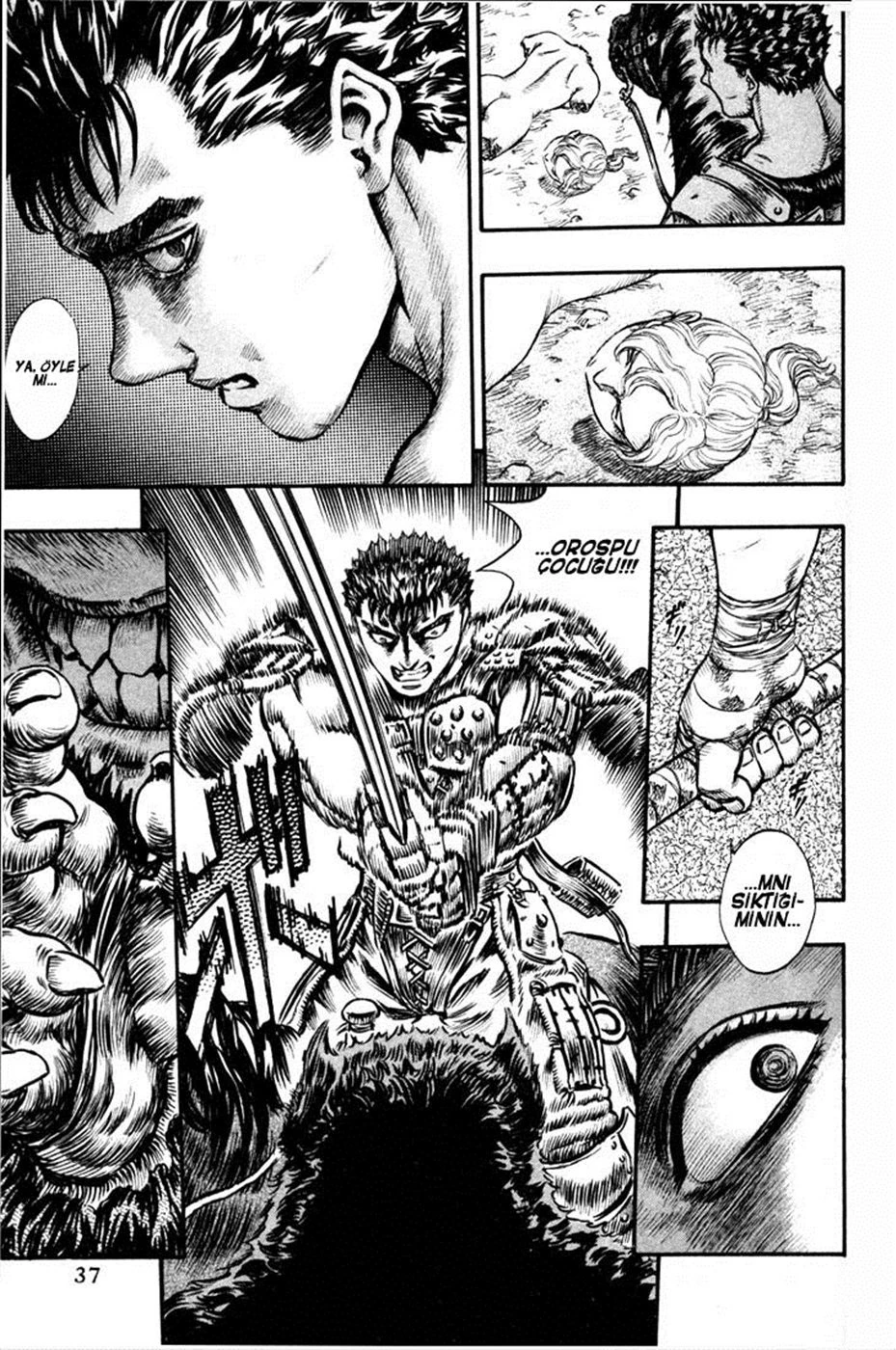 Read Berserk TR Manga Online