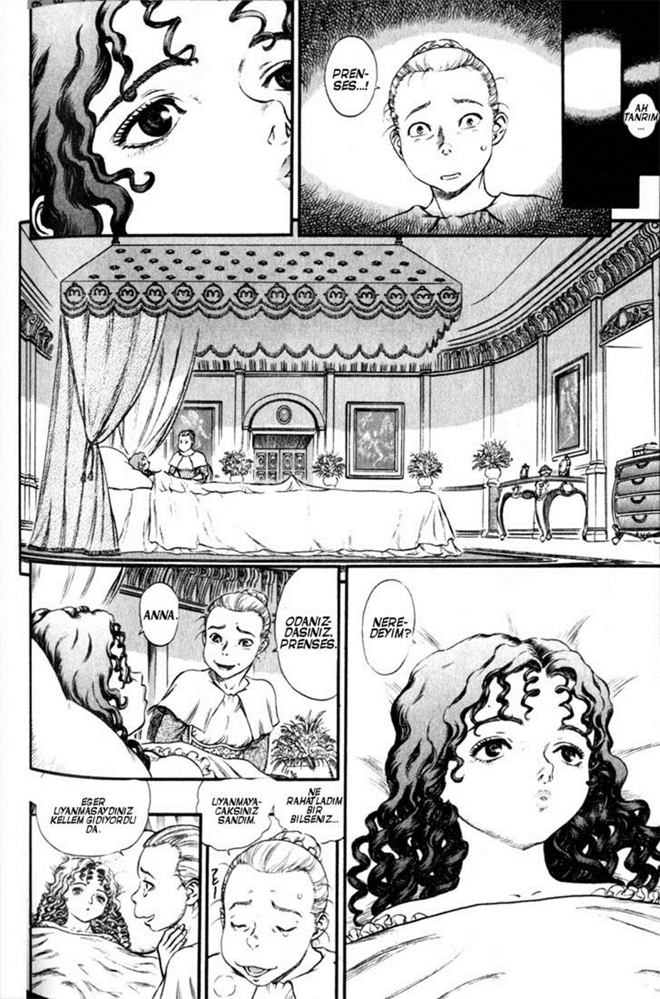 Read Berserk TR Manga Online
