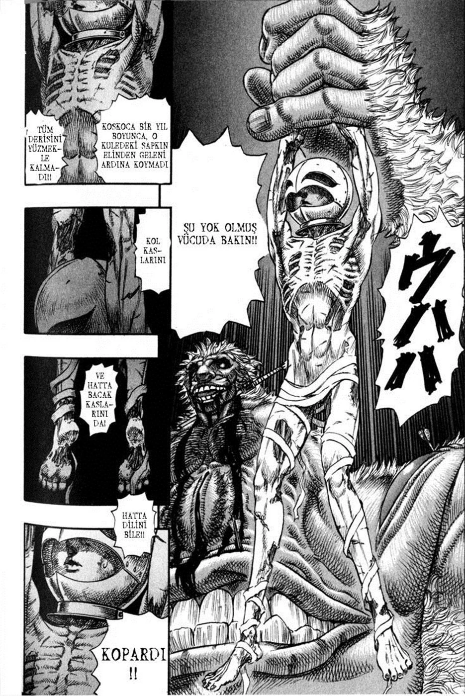 Read Berserk TR Manga Online