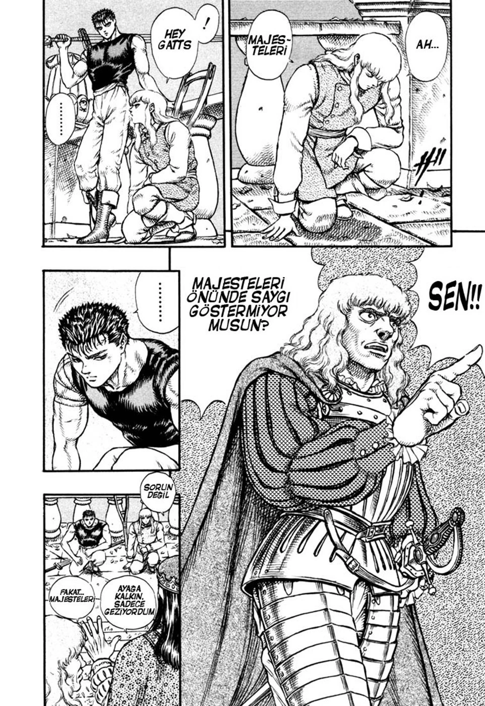 Read Berserk TR Manga Online