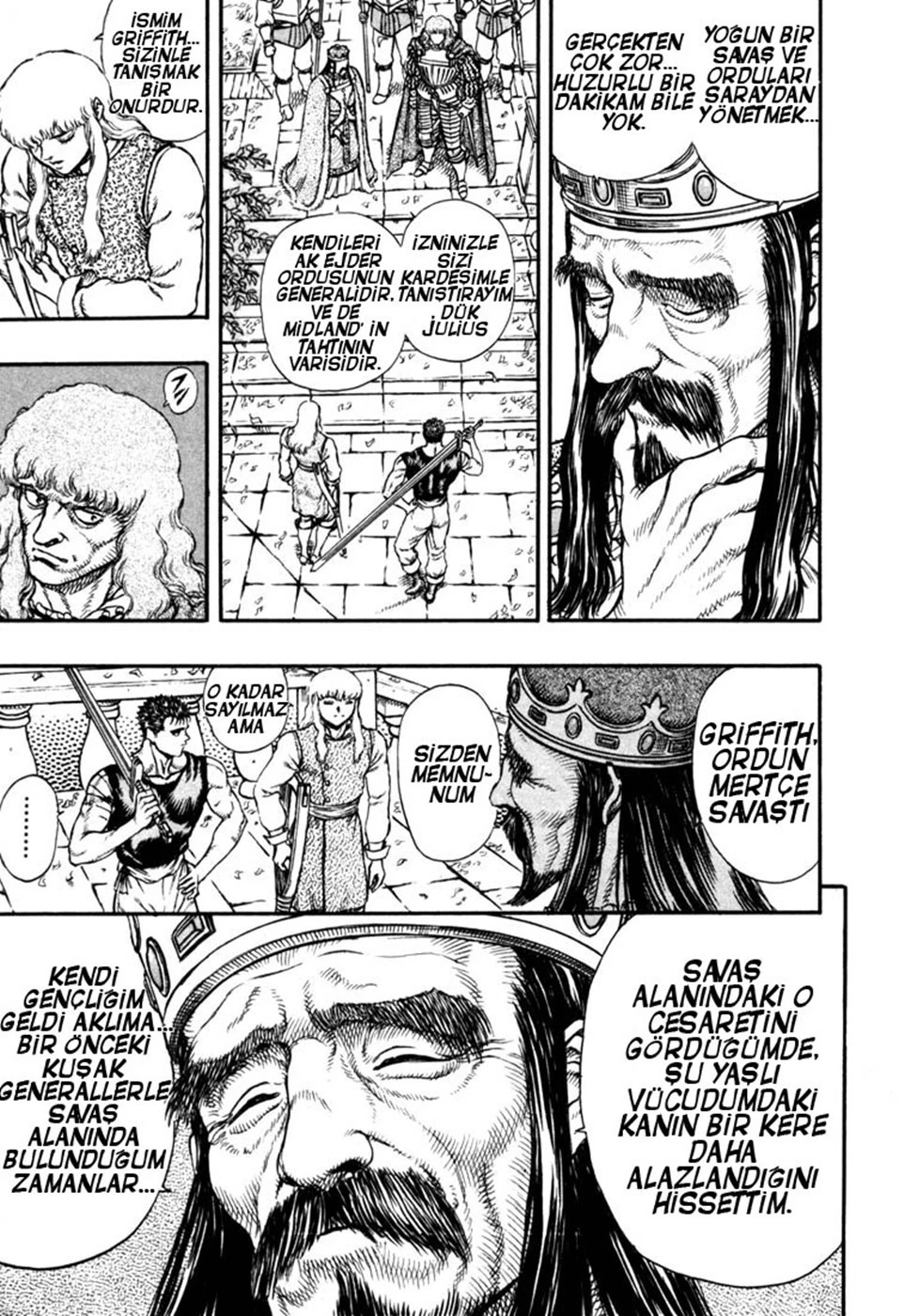 Read Berserk TR Manga Online