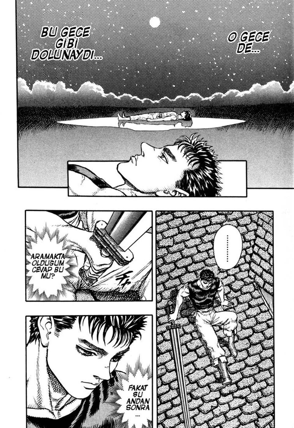Read Berserk TR Manga Online