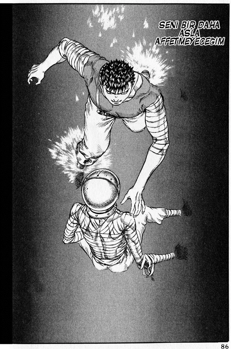 Read Berserk TR Manga Online