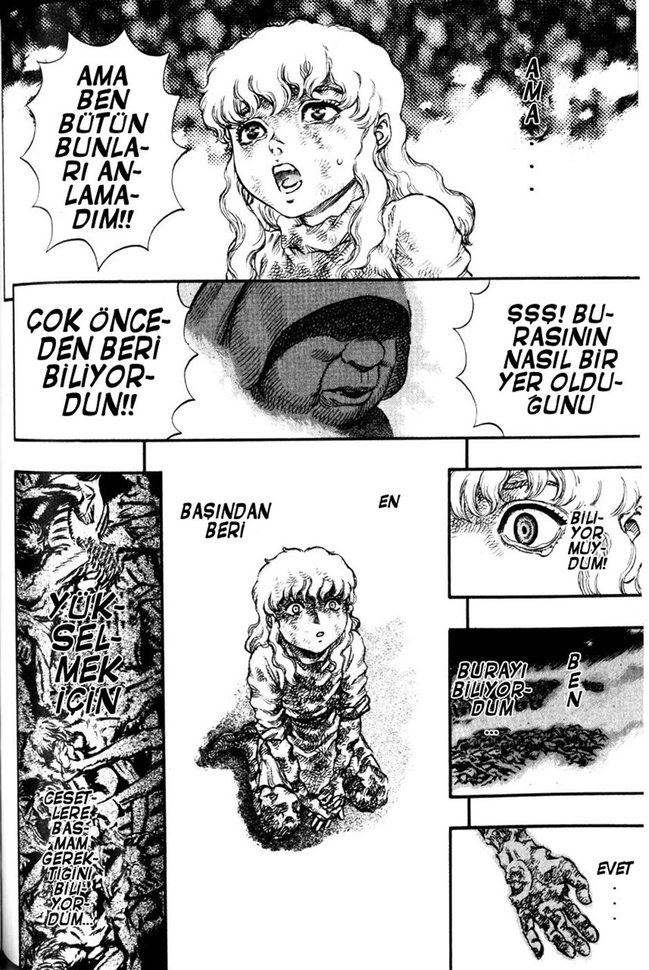 Read Berserk TR Manga Online