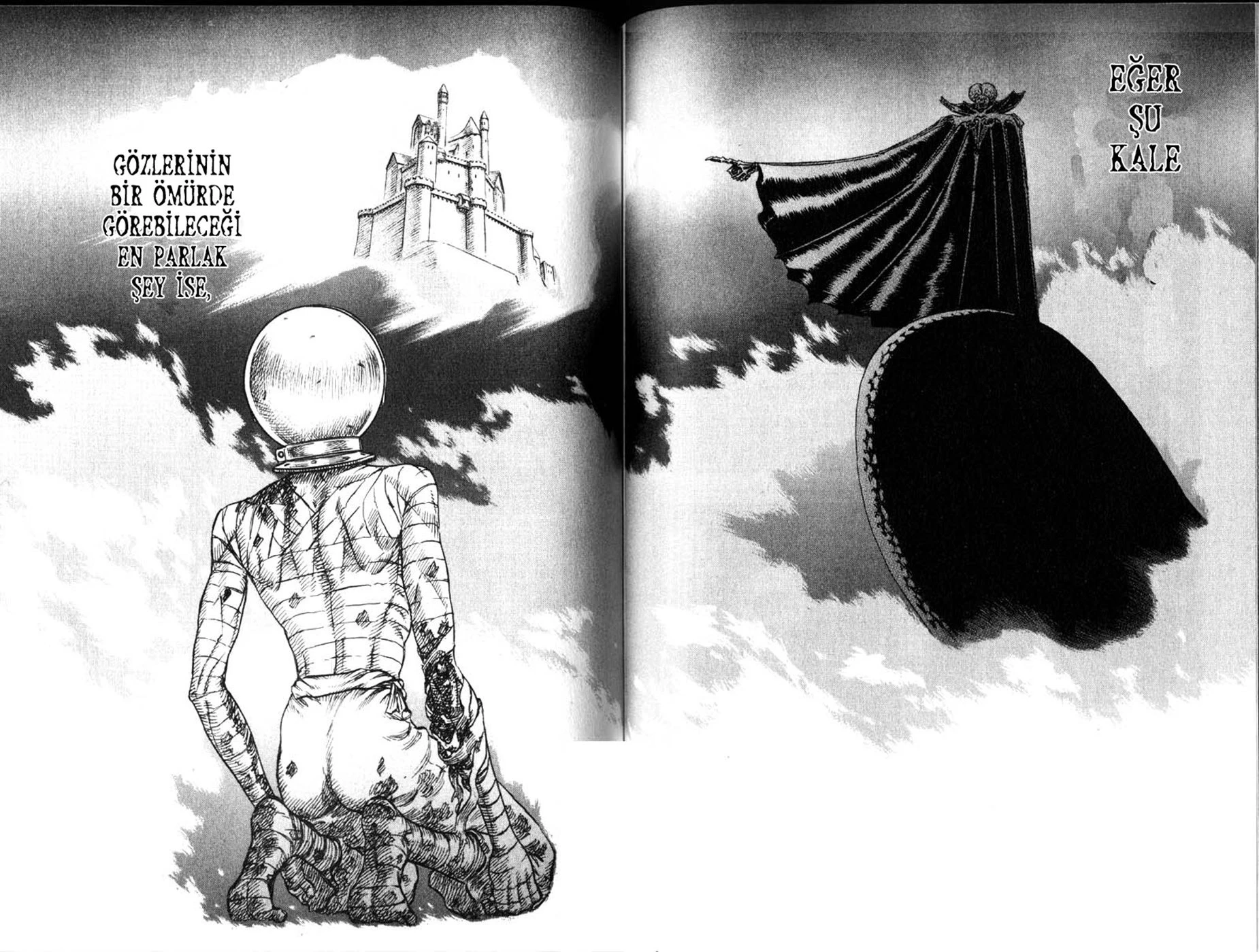 Read Berserk TR Manga Online