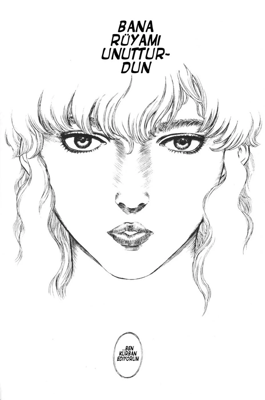 Read Berserk TR Manga Online