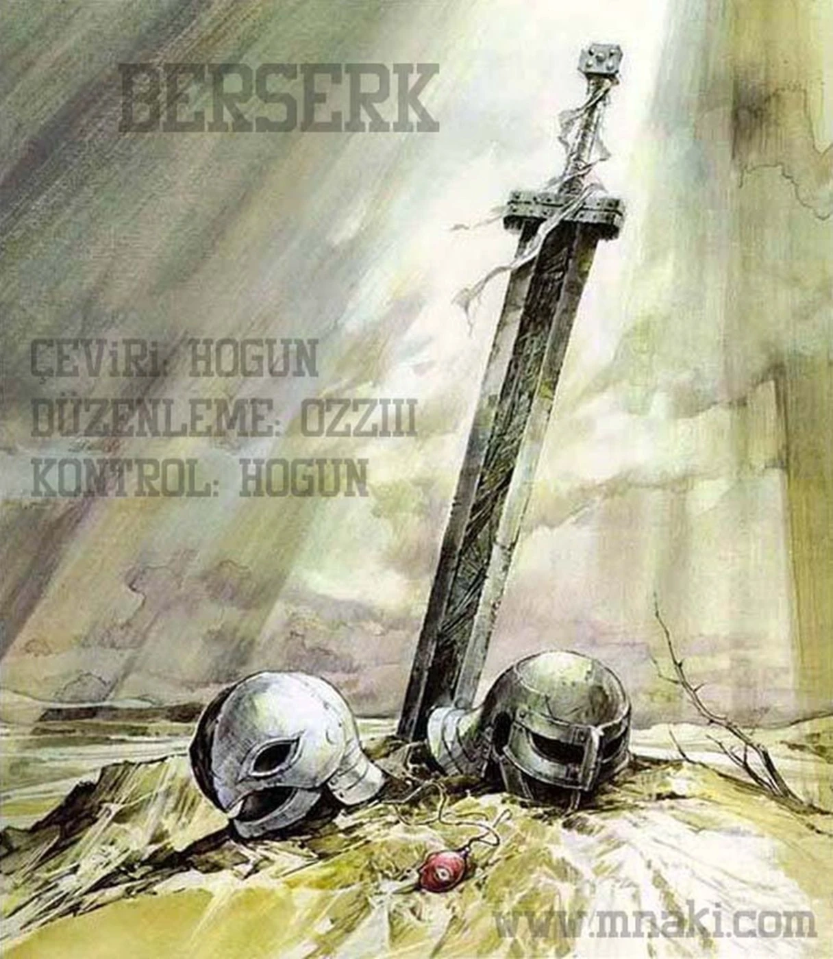 Read Berserk TR Manga Online