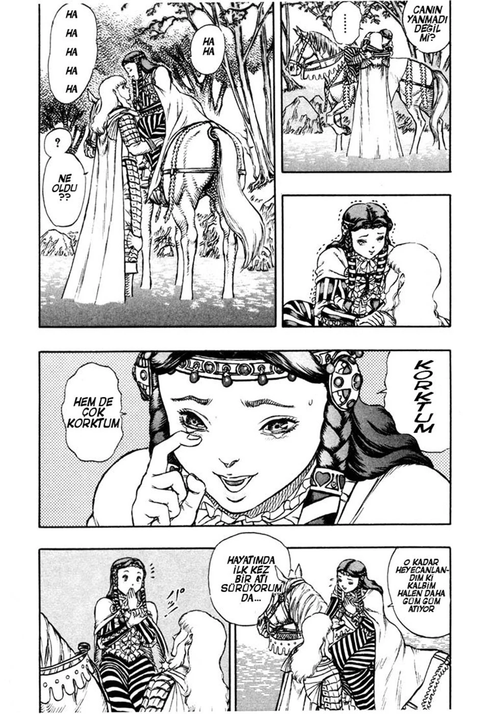 Read Berserk TR Manga Online