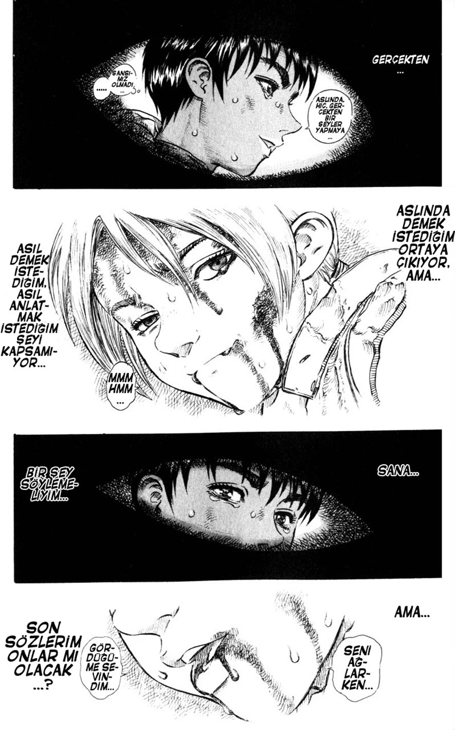Read Berserk TR Manga Online