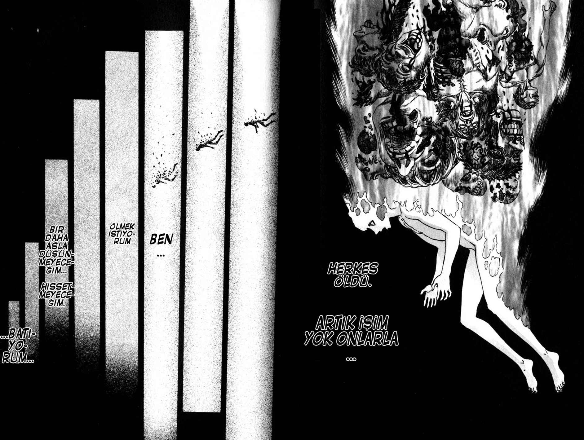 Read Berserk TR Manga Online
