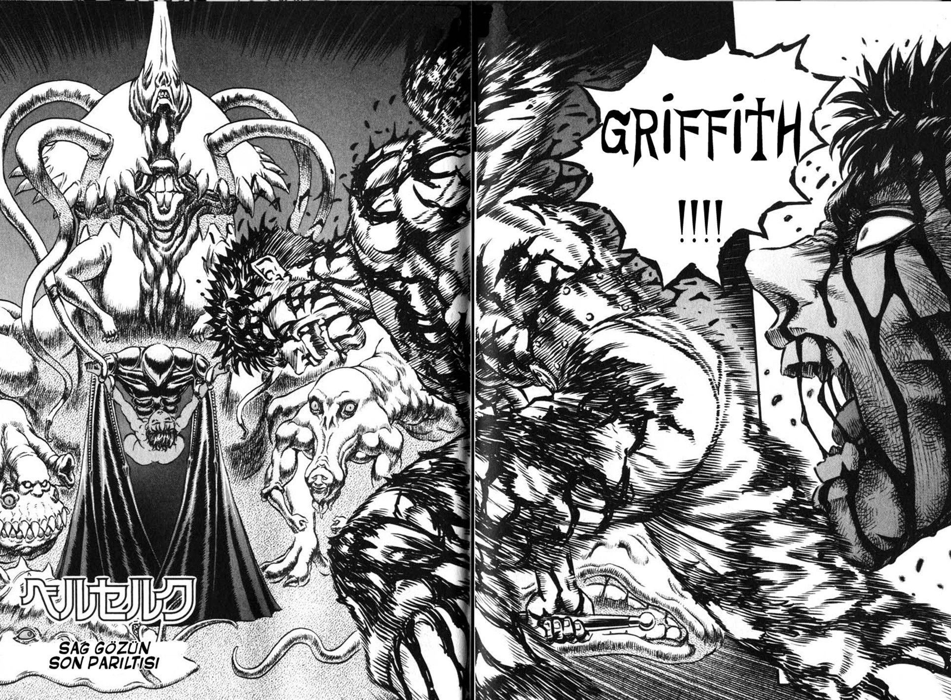 Read Berserk TR Manga Online