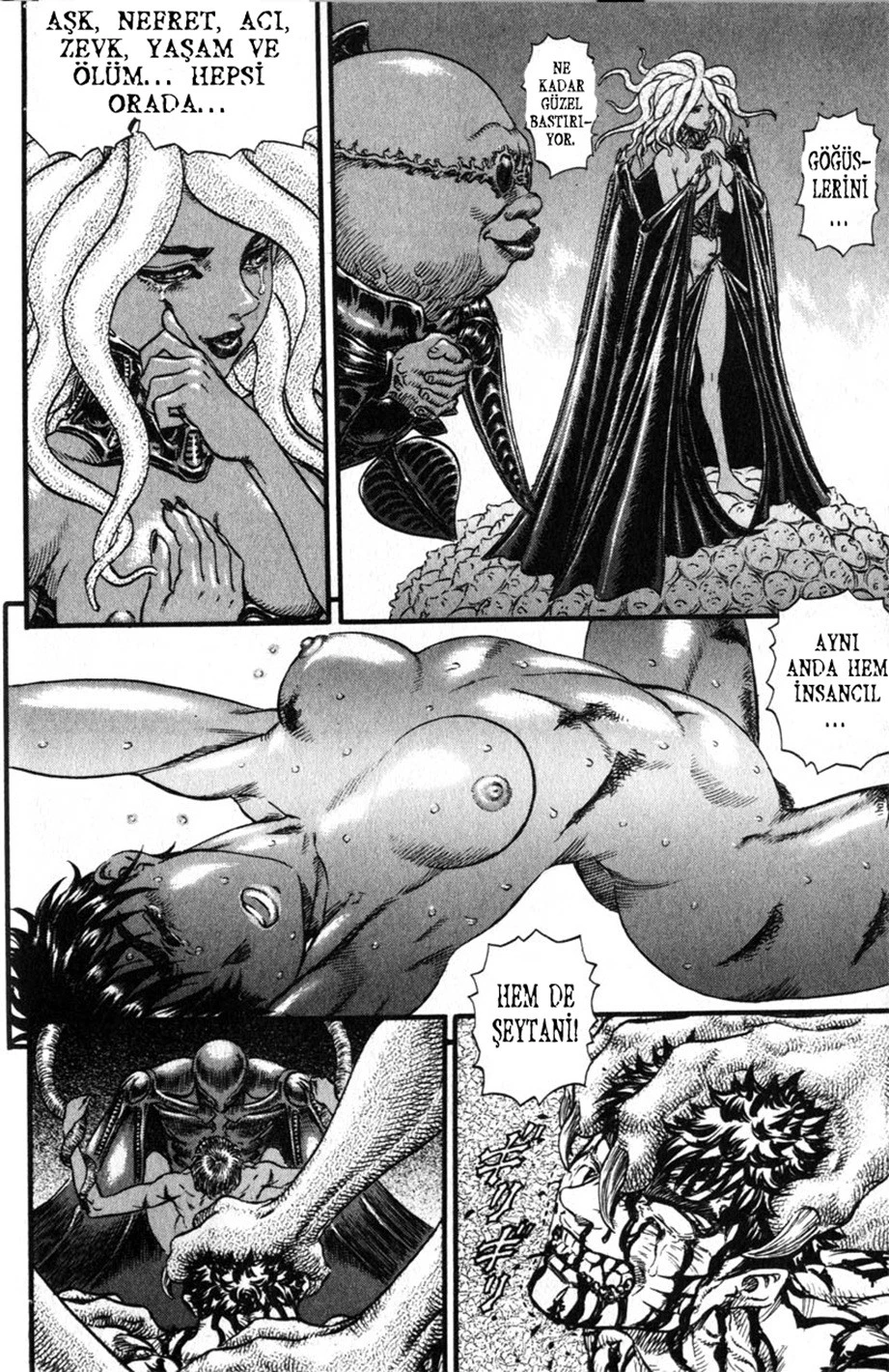 Read Berserk TR Manga Online