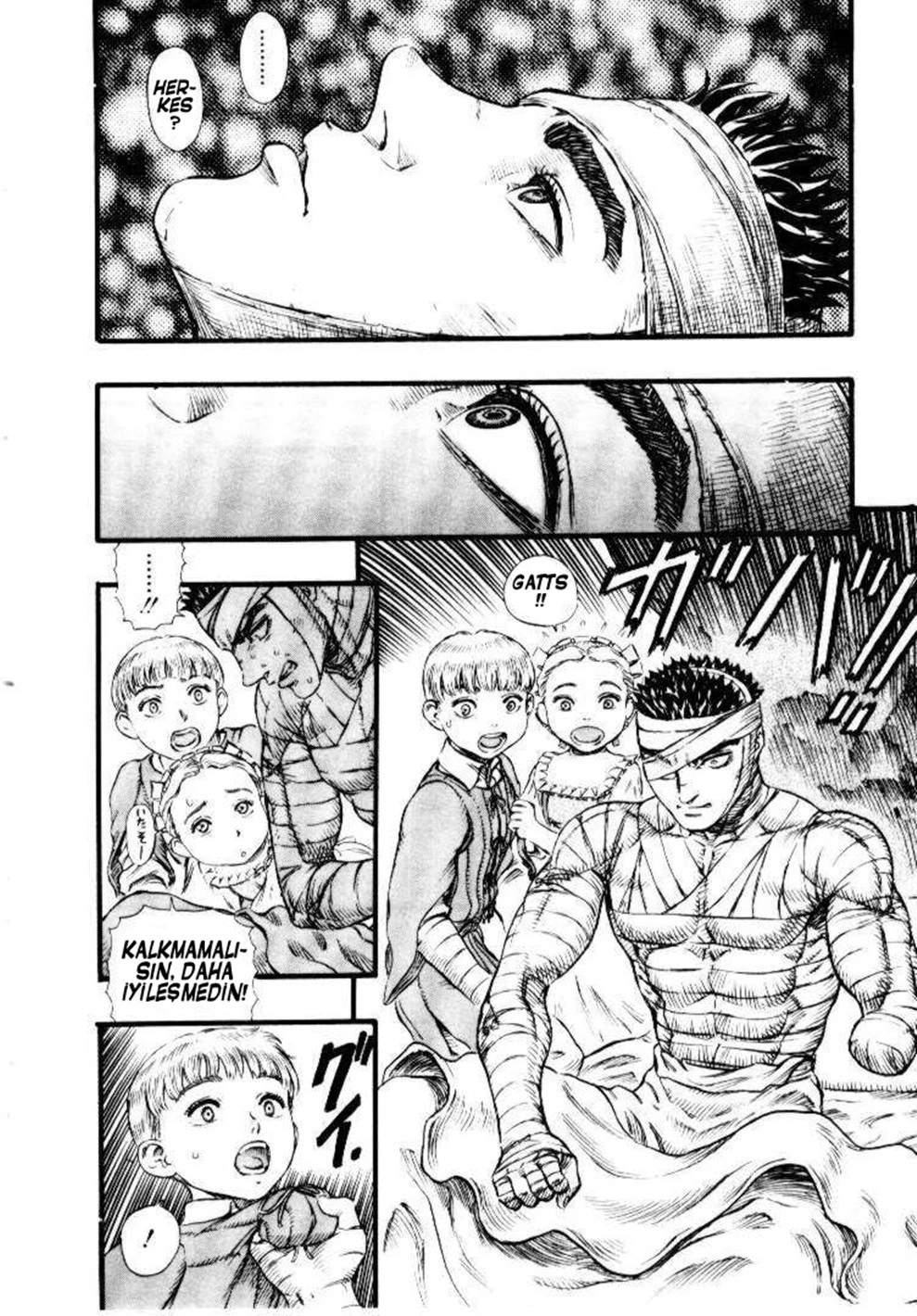 Read Berserk TR Manga Online