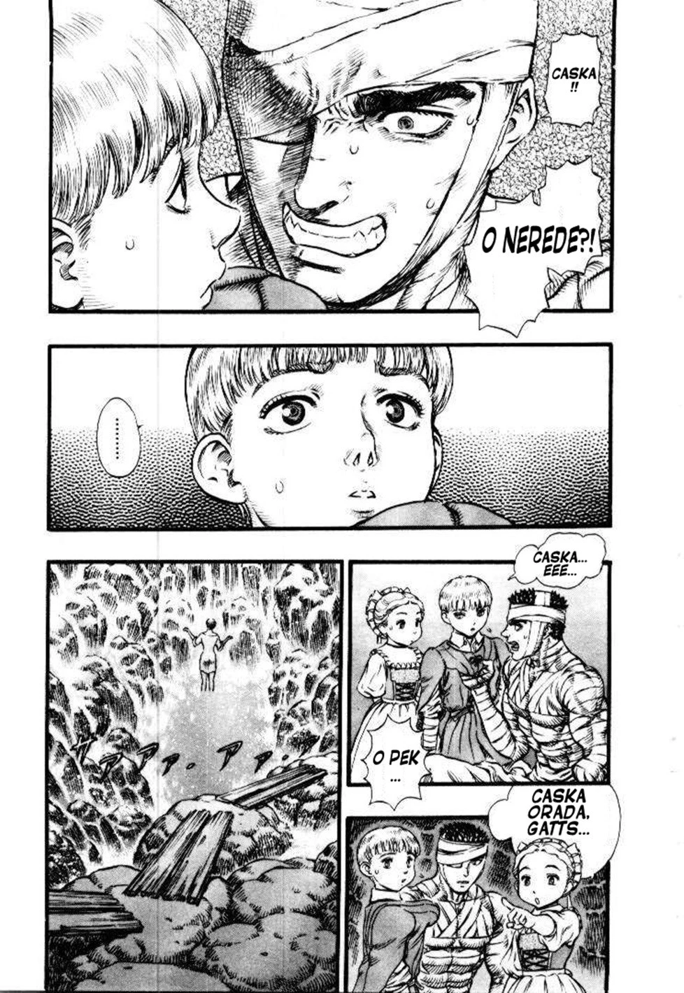 Read Berserk TR Manga Online